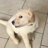 blunney6114